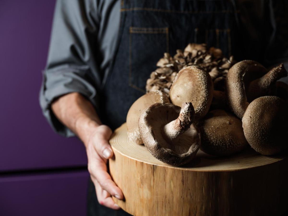 Hyatt Centric Kanazawa Exterior foto Shiitake mushrooms